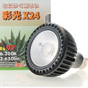 【全国送料無料】ボルクス 彩光X24 ワイド 22W Ra97 2630lm 6200K