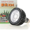 【全国送料無料】ボルクス 彩光X24 ナロー 22W Ra97 2630lm 6200K