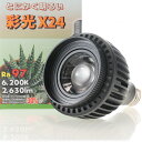 【全国送料無料】ボルクス 彩光X24 ズーム 22W Ra97 2630lm 6200K