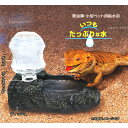 【全国送料無料】ビバリア ボトルディッシュ RP-538 (新商品)