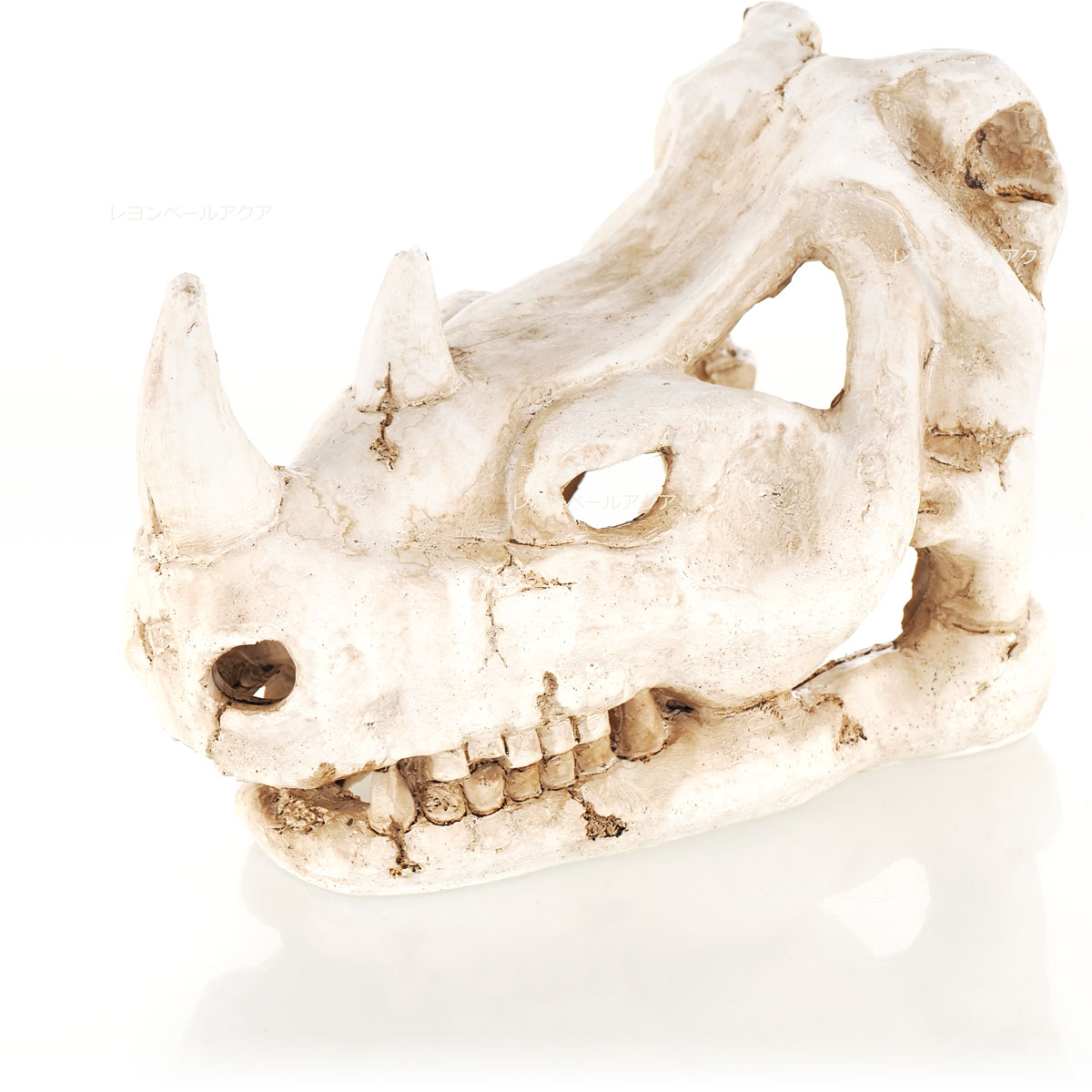 Rakuten - 【全国送料無料】バイオキミア レプティスカル サイ (新商品)