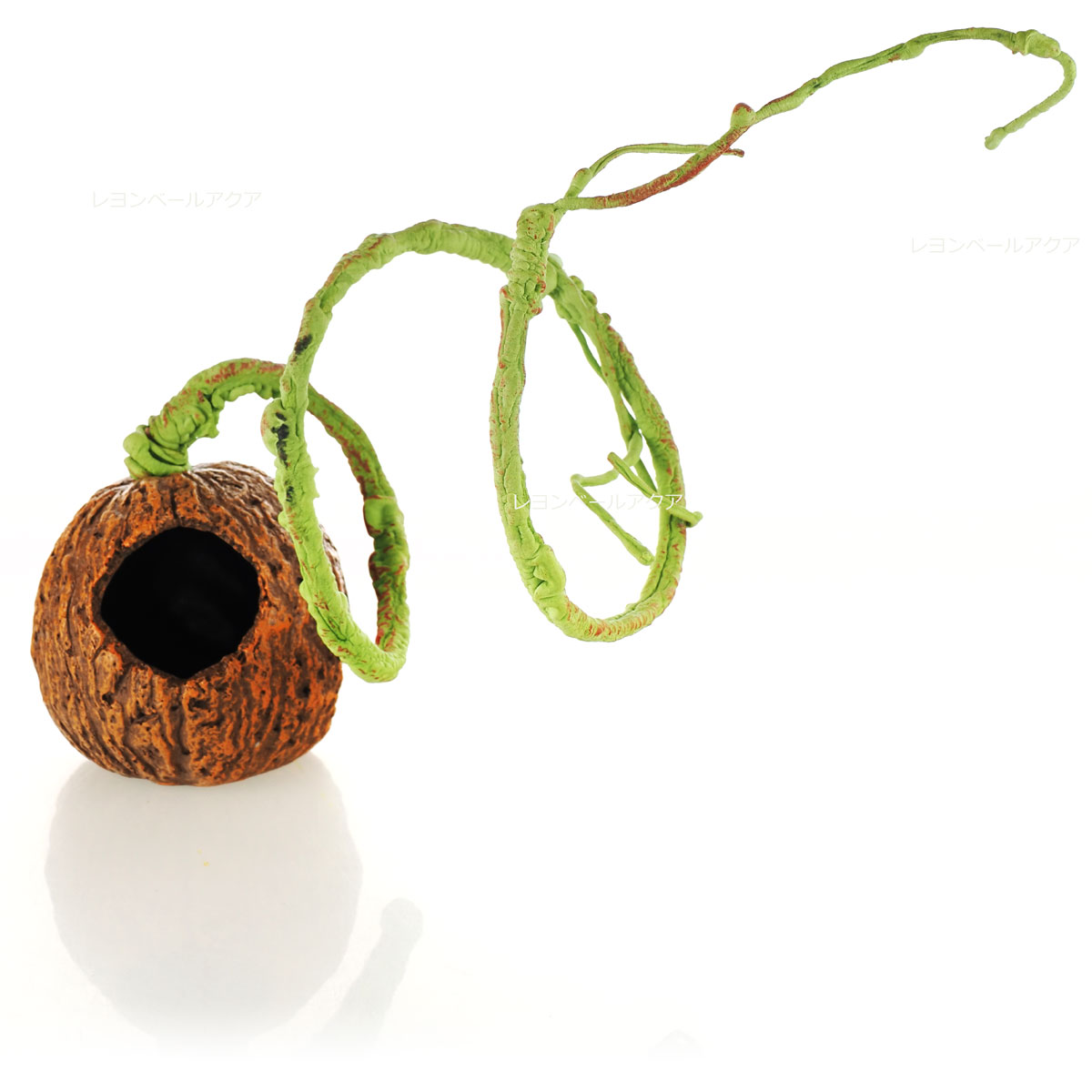 Rakuten - 【全国送料無料】バイオキミア アニマルシェルター クルミのお家 (飾り)(新商品)