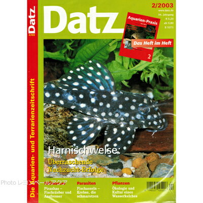 【全国送料360円】DATZ 2003・02号 「限定1個」