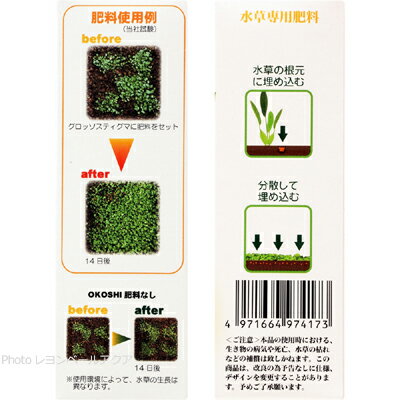 ����������̵���ۥ��ߥϥ� ������������ OKOSHI (������) 100g (��20������)