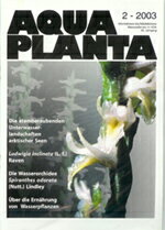 【全国送料360円】AQUA PLANTA 2003-2 「限定1個」