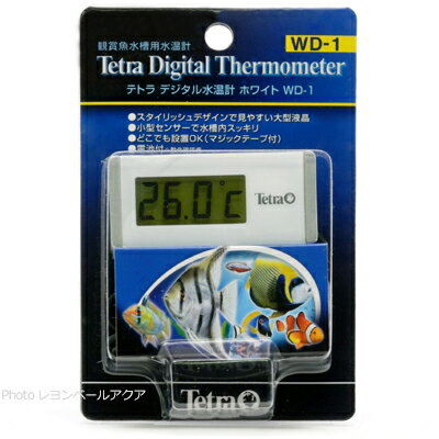 【全国送料360円】テトラ デジタル水温計 ホワイト WD1 新ロット新パッケージ 75098