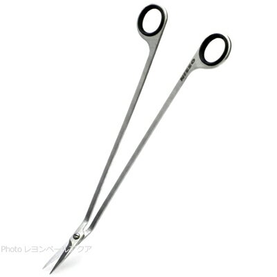 ����������̵���ۥ˥å��� �ȥ�ߥ󥰥ϥ���