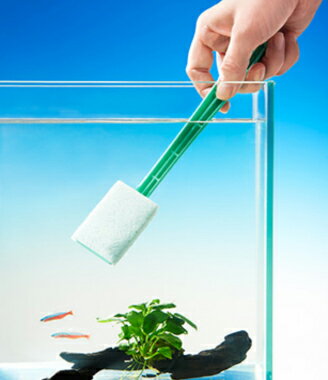 ����������̵���ۿ�� �����������磻�ѡ� �ߥ�