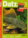 【全国送料360円】DATZ 2002・06号 「限定1個」