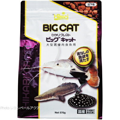 キョーリン ひかりクレスト ビッグキャット 570g (まとめ有)