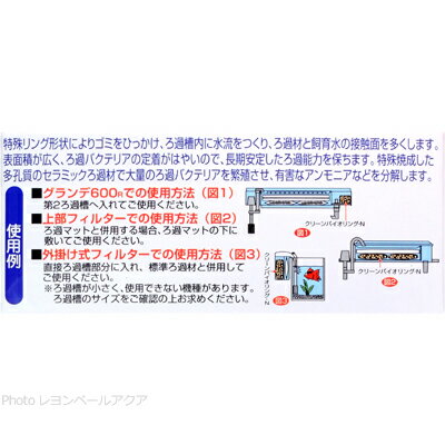 ����������590�ߡ�GEX ���꡼��Х��� ���N 70g��2���� 140g(��Ȣ)