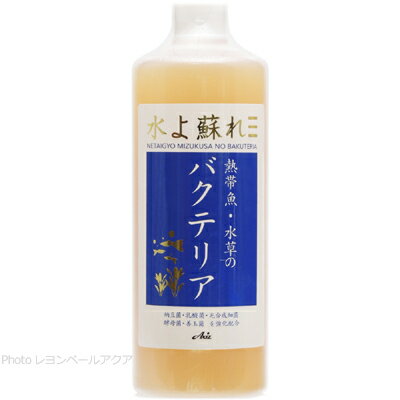 【全国送料無料】アクシズ 熱帯魚・水草のバクテリア 500ml(紺)