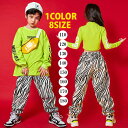 【2980円以上購入で10%OFF!】キッズダンス衣装 キッズ ダンス ダンスパンツ ゼブラ柄 ダンス衣装 プリント 派手 ボトムス カジュアル ダンス服 個性派 ストリートファッション ロック風 ヒップホップ 舞台 演出服 コスチューム 文化祭