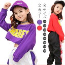 【2980円以上購入で10%OFF!】キッズダンス ダンス衣装 ダンストレーナー ダンスプルオーバー ショート丈Tシャツ 英文字プリント 長袖 カジュアル ダン...