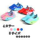 【よりどり3点購入で10%OFF!】 キッズ ビーチウォーカー マリンシューズ シュノーケリング かわいい 履きやすい 速乾 ダイビング アクアシューズ 子供用...