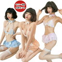 【20%OFFクーポン有】セクシーランジェリー ベビードール 下着 上下セット ギンガムチェック 大きいサイズ ミニスカート 過激 ランジェリー 3in1 スリーインワン セクシー セクシー下着 エロい エッチな下着 セクシーランジェリー(4)