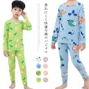 子供 パジャマ キッズ 男の子 女の子 長袖 子ども トップス ボトムス パンツ 2点セット かわいい キッズ パジャマ 子供服 春 秋 冬 送料無料