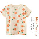 蜜柑 オレンジ 可愛い Tシャツ キッズ Uネック 夏Tシャツ フルーツ柄 丸首 サマーTシャツ 子供 半袖 Tシャツ クールネック 男の子 女の子 Tシャツ Tシャツ 子供 Tシャツ トップス インナー 半…