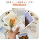 シール ポストカード インテリア雑貨 北欧 ポストカード 花 韓国 インテリア アート おしゃれ チューリップ カード 60枚セット パステル フラワー 韓国インテリア 北欧インテリア リビング 寝室 トイレ 書斎