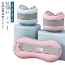 自宅 トレーニング 【2個セット】アンクルウェイト 筋トレ リストウェ...(4)