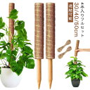 ココナッツ 10点セット 【4本入り】ココスティック 支柱 植物支柱 花ささえ ガーデニング用 ポトス モンステラ 観葉植物 ココナッツ支柱 園芸支柱 植物 ガ...