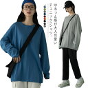 全10色×7サイズ！ビッグシルエットtシャツ ゆる チュニック tシャツ ビッグtシャツ レディース 無地tシャツ tシャツ トップス 大きサイズ ラウンドネック シンプル 体型カバー 春 秋 コットン