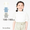 袖シフォンジャガードTシャツ 女の子 ガールズ 子供服 子ども服 キッズ ジュニア 子供 子ども こども 2023SS