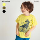 【期間限定SALE/21%OFF】【プチプラ】恐竜プリント半袖Tシャツ 男の子 ボーイズ 女の子 ガールズ ユニセックス SS 春物 夏物 春夏物 子供服 子ど...