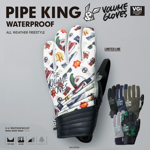 VOLUME GLOVES PIPE KING VGi 【ボリューム グローブ パイプキング ヴォリューム】【スノーボード グローブ 2016 】【送料無料 日本正規品】