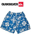 QUIKSILVER ボードショーツ サーフトランクス 【カラー ロイヤル 日本正規品】