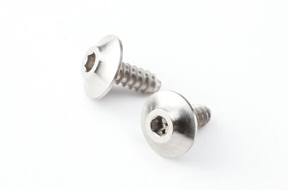 HS-TS01 【Reve D/レーヴ・ディー】 8810 STYLE SPMチタン製 ウイング用 M2×5mm タッピングスクリュー（2本入）
