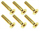 SSR-314G 【SQUARE/スクエア】 3×14 ステンレスヘックス皿ビス(6本入) 24Kゴールドメッキ