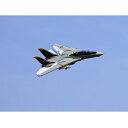 FREEWING F-14 64mmツインEDF ★限定特価2機のみ