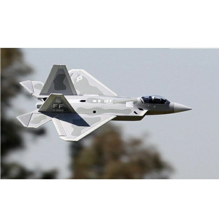 50mm電動ダクテッドファン機　F-22ラプター その1