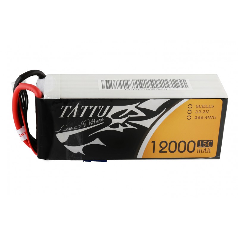 ACE TATUU 12000mA6S25C