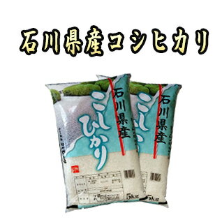 【あす楽対応☆1年産】 石川県産 コシヒカリ 10kg （5kg×2袋） 検査一等米...