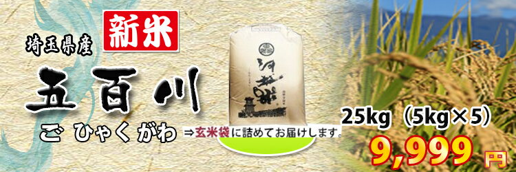 新米【即日発送☆4年産】 契約農家直送米　埼玉県産五百川　25kg（5kg×5袋）白...