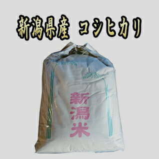 5年産 新潟県産コシヒカリ 25kg 【あす楽_土曜営業】 【送料無料】 北海道、九州、沖縄、中国.四国、一部地域を除く 【精米無料】