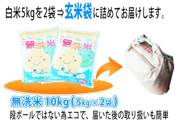 【あす楽対応1年産】 無洗米 マイスター が仕立てた美味しいお米 10kg （5kg×2袋）【あす楽_土曜営業】 【送料無料】 沖縄、を除く。 【精米無料】