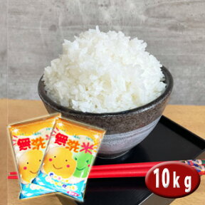 5年産 無洗米10kg(5kg×2袋) マイスター監修のお米