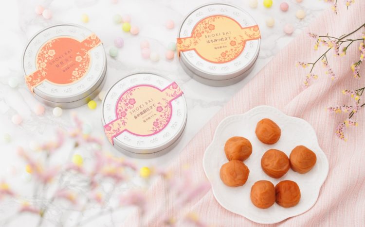 すぐき詰合せ ス400 期間限定商品 乳酸発酵 / 漬物 京漬物 お漬物 ギフト プレゼント 贈答 法事 お返し ご飯のお供 柴漬 しば漬け 母の日 土産 京土産 お取り寄せ グルメ 京都 大原 創業124年 老舗 【土井志ば漬本舗】