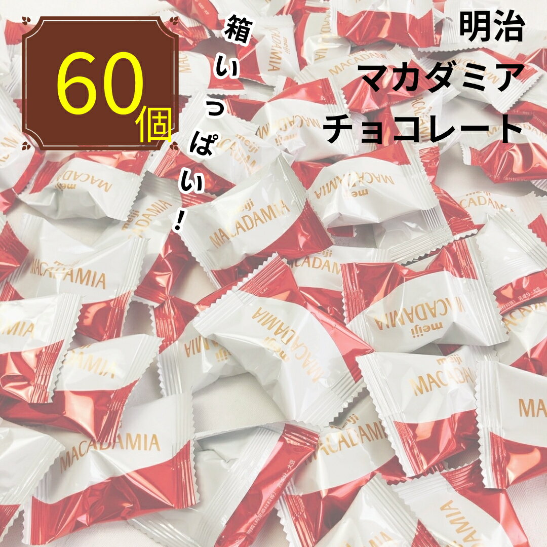 明治 チョコレート 大量 60個 マカダミアナッツチョコ ギフト マカデミアナッツチョコレート 送料 ...