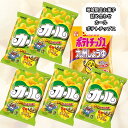 お菓子 詰め合わせ 大量 明治 カール チーズ味 5袋 ポテトチップス 九州しょうゆ味 1袋 カルビー スナック 九州限定 スナック菓子 詰め合わせ ぽっきり価格 一人暮らし 仕送り ポイント消化 送料無料(4)