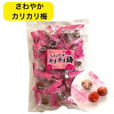 カリカリ梅 駄菓子 種あり 30個 おつまみ おやつ たっぷり 甘酸っぱい 梅干し 個包装 甘梅漬物 おにぎりの具