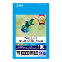 サンワサプライ インクジェット写真印画紙・特厚 JP-EP2NLN(代引不可)【送料無料】