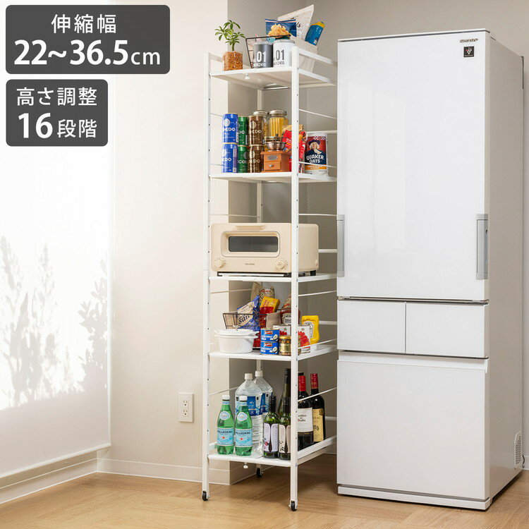 蠅棚　48cm オープンラック W70.2×D31×H178cm ホワイト 本棚 シェルフ 収納