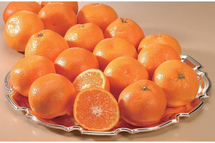 佐賀ハウスみかん ギフト 産直 ご当地グルメ 熨斗 贈り物 新生活 お祝い お取り寄せ のし対応 プレゼント 誕生日 (代引不可)【送料無料】