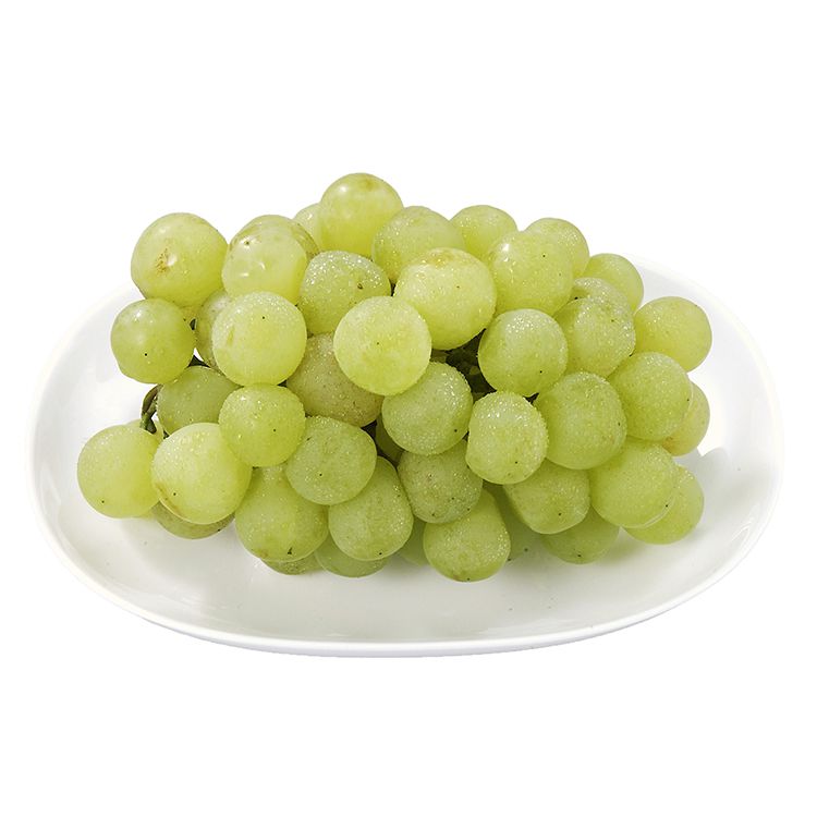 山梨・長野県産 シャインマスカット お歳暮 冬ギフト 年末 年始 年末年始 お取り寄せグルメ プレゼント 熨斗 のし 贈り物 お祝い 冠婚葬祭 御見舞 食品(代引不可)【送料無料】