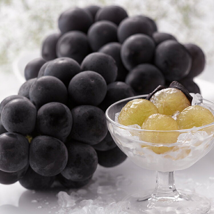 長野県産 巨峰 2房 計900g お歳暮 冬ギフト 年末 年始 年末年始 お取り寄せグルメ プレゼント 熨斗 の..