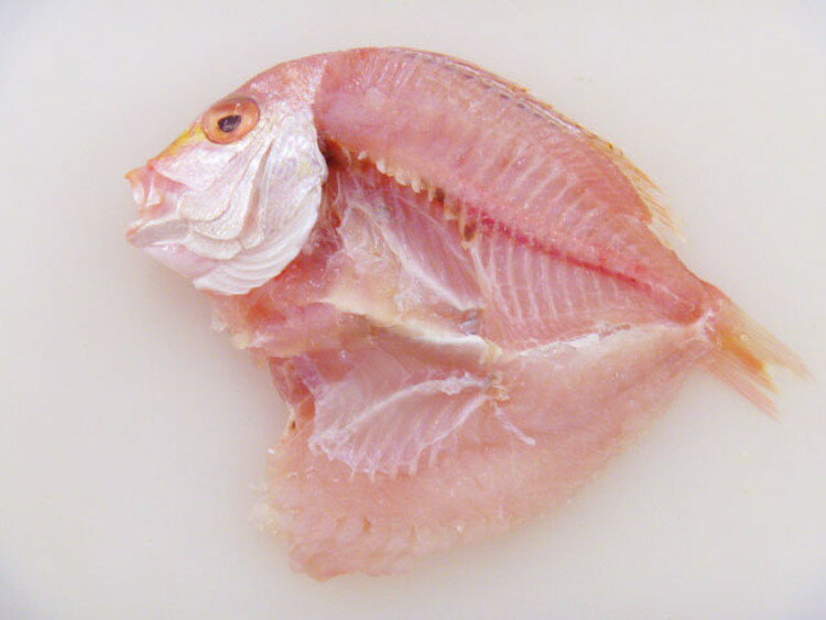 山口 鮮レンコ一夜干し ギフト 産直 ご当地グルメ 熨斗 贈り物 新生活 お祝い お取り寄せ のし対応 プレゼント 誕生日 (代引不可)【送料無料】